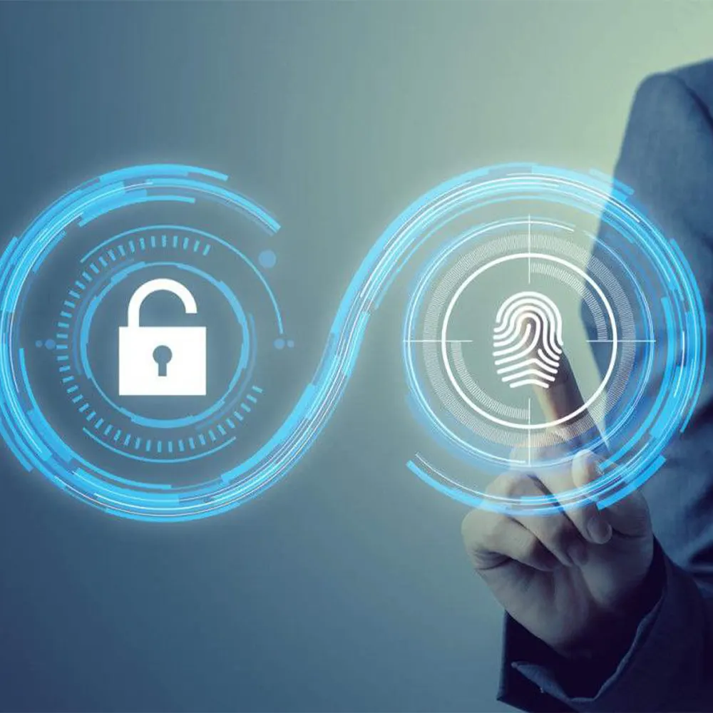 افزایش امنیت خودرو با اثر انگشت